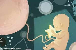 测序平台